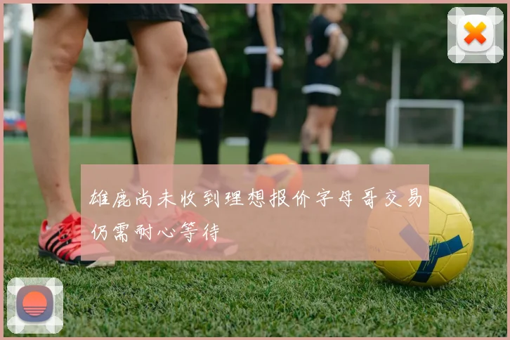 雄鹿尚未收到理想报价字母哥交易仍需耐心等待